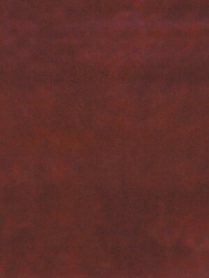 cover image of Au, U, Fe, Mn, Hg, Sb, W, and P Deposits